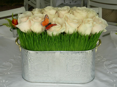 Site Blogspot  Wedding Decorations Centerpieces on Your Big Day Without Spending Big      Outdoor Wedding Decorations