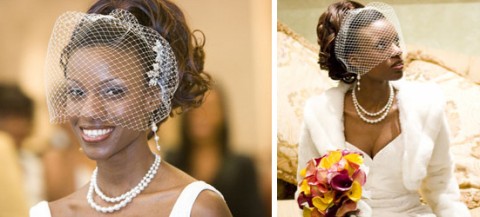 nelley theknot bird cage veil example beautiful
