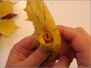 autumnleaf9 autumnleaf9